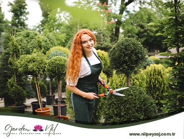 Çorlu Profesyonel Bahçe Düzenleme
