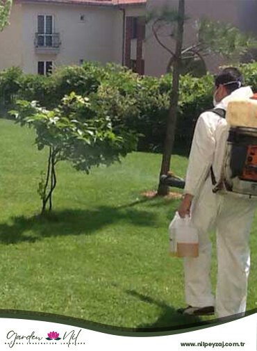 Çorlu Ağaç İlaçlama
