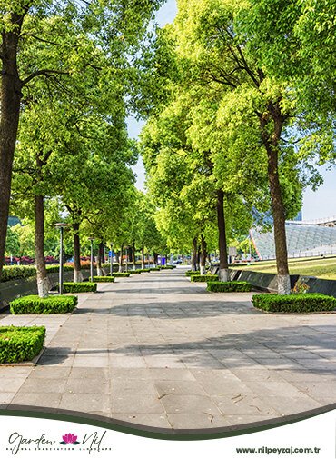 Çorlu Kentsel Peyzaj Tasarımı