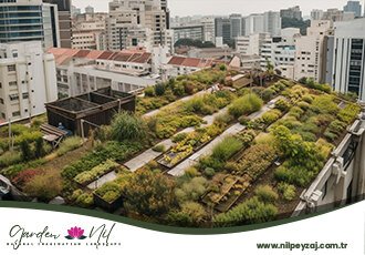 Çatı Peyzaj Uygulaması Çorlu